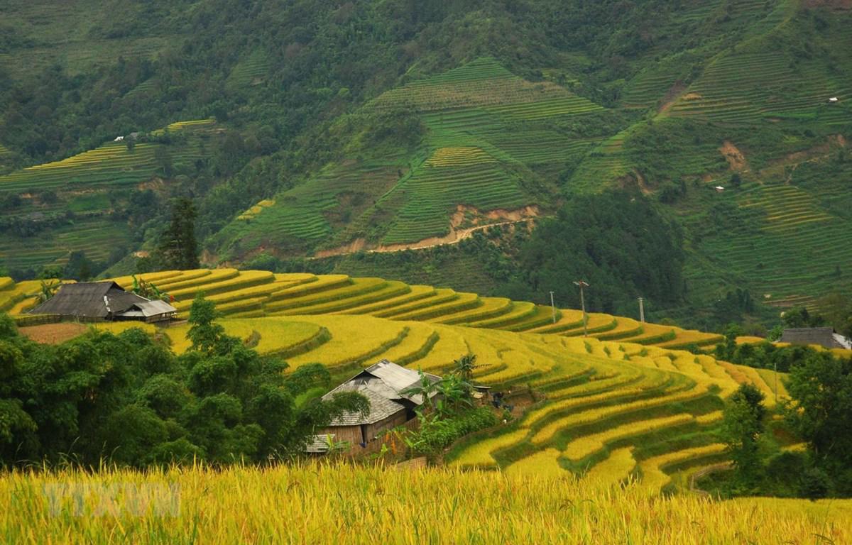 bàn bida hà giang